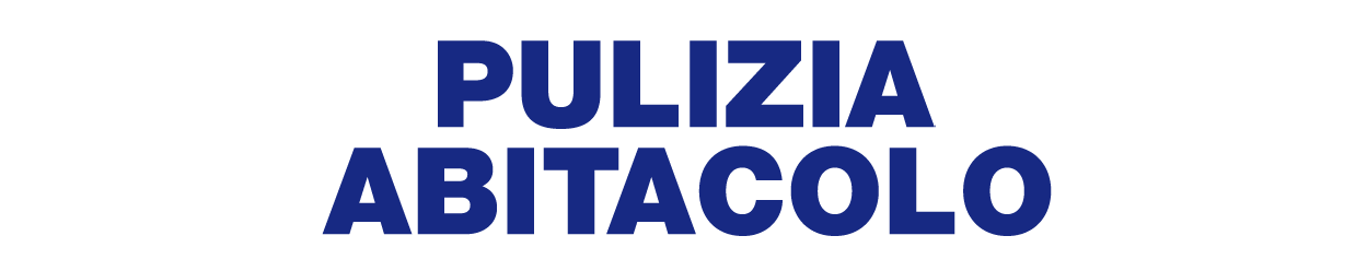 PULIZIA ABITACOLO mobile min